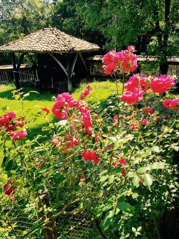 Дома для отпуска Guest House Stoyanovata Kashta - Стояновата къща Елена-34